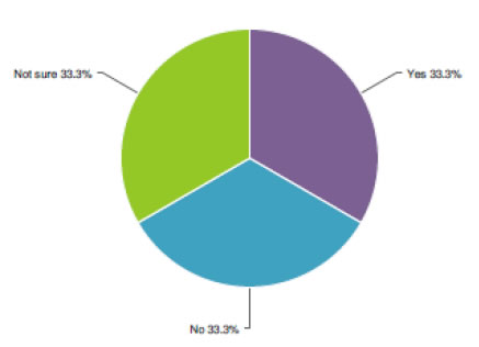 Graph.  Not sure (33.3%), Yes (33.3%), and No (33.3%).