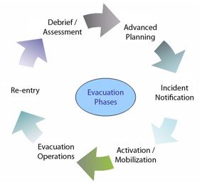 Diagram of the six phases in a cycle. More details are below.