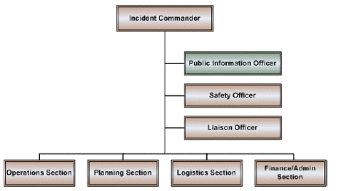 ICS Organizational Chart