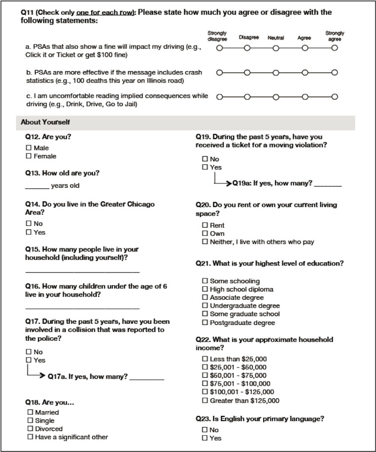 Screen shot of page 3 of the Chicago survey. Content is the same for all cities.