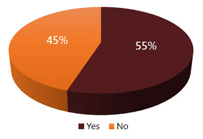 Second chart shows percentages breakdown of those answered yes, if their Strategic Plan has been updated periodically as: 55% Yes and 45% No.