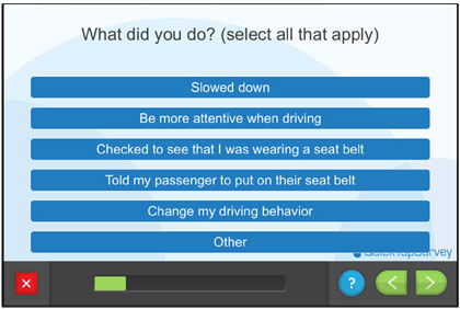 Questionnaire screen - What did you do?