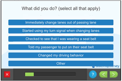 Questionnaire screen - What did you do?