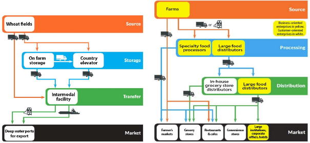 Wheat supply and food distribution chains in Washington State. The wheat supply chain comprises the source (farms), from which wheat is transferred either to storage (on-farm or county elevator) or to a transfer site (intermodal facility), from which it is transported to market (via deep water ports). The food supply chain contains business-oriented enterprises (BOE) and customer-oriented enterprises (COE). Food originates at the source (farms - BOE), moves to processing (specialty food processors and large food distributors - BOE), from which it is distributed (via grocery stores (COE) and food distributors (BOE)). From the distributors, food goes to market via large institutions (BOE) and COEs such as markets, grocery stores, and restaurants.