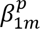 beta superscript p subscript 1m.