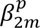 beta superscript p subscript 2m.