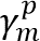 gamma superscript p subscript m.