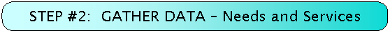 STEP #2:  GATHER DATA - Needs and Services